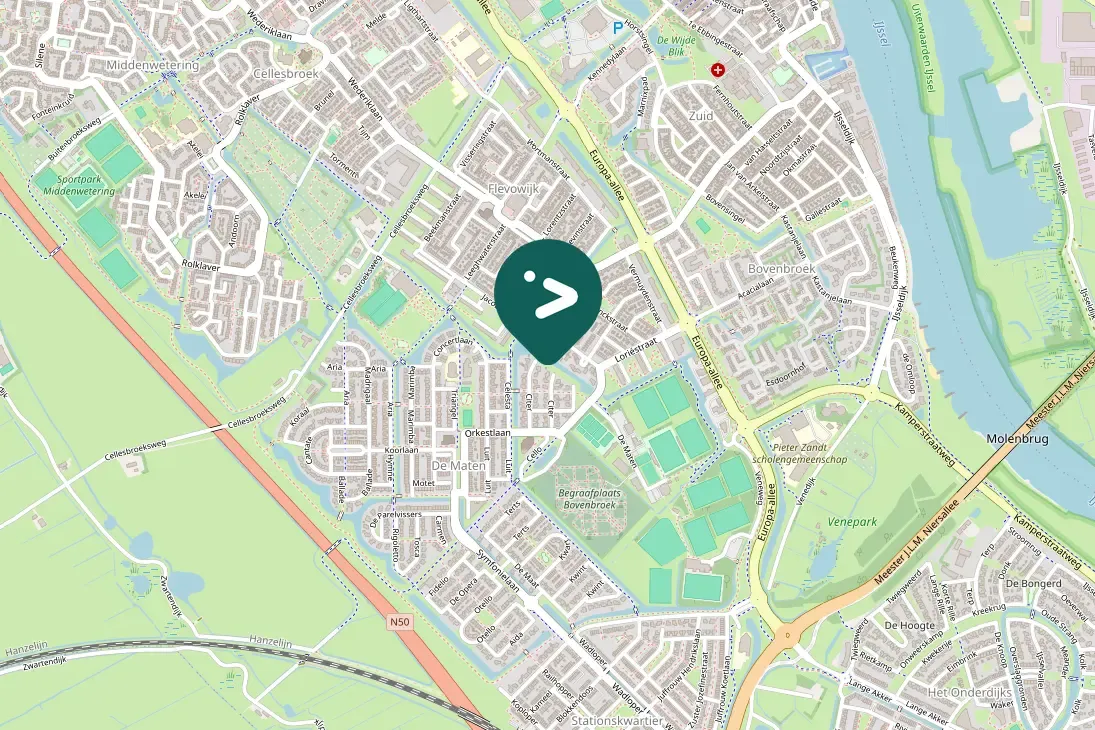 Spotted European Robin