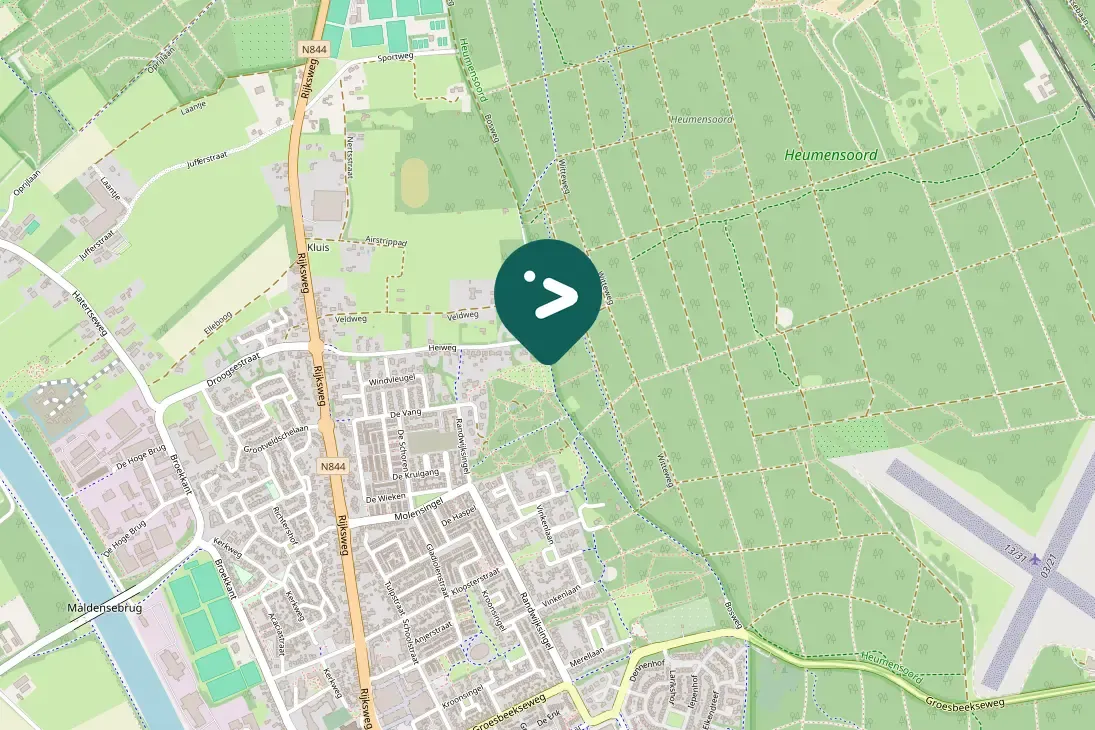 Spotted Common Buzzard