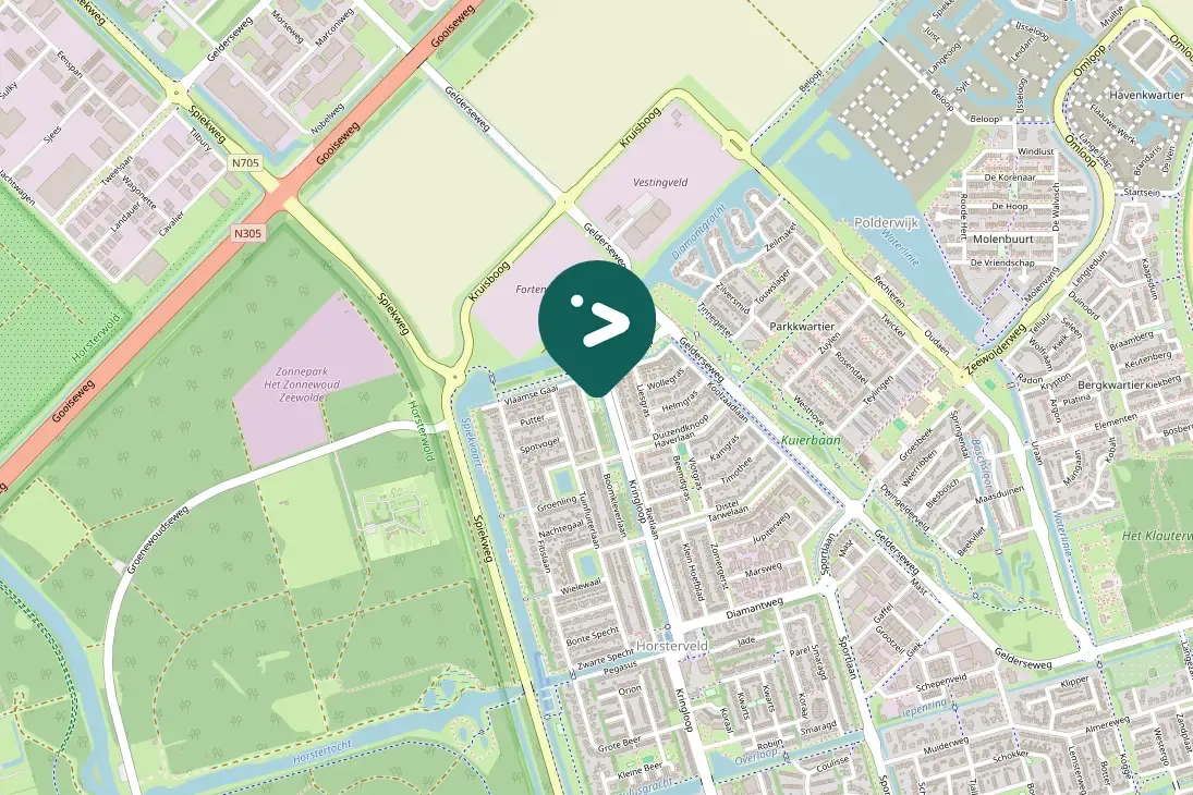 Spotted Eurasian Collared-Dove