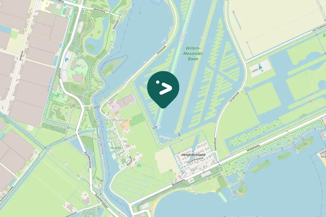 Spotted Common Redshank