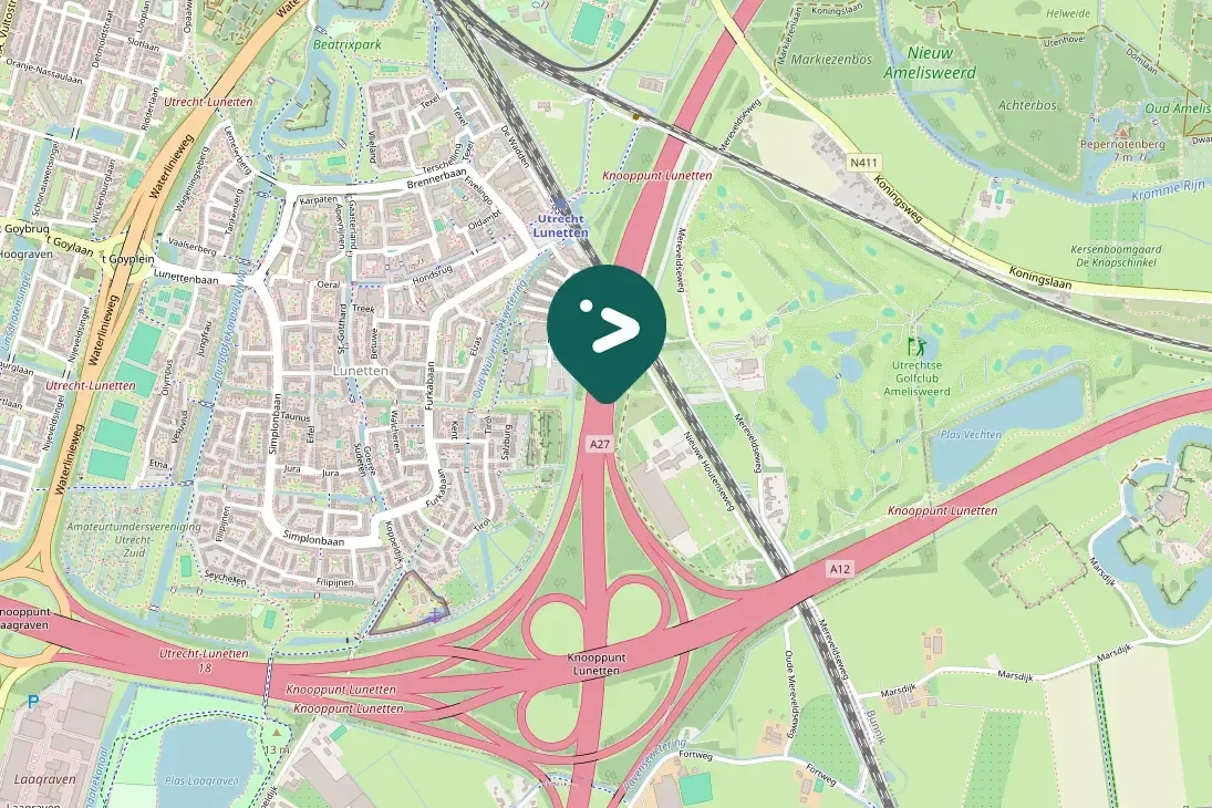 Spotted Common Buzzard