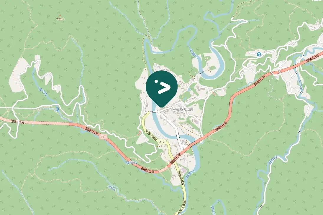 Spotted Japanese Wagtail