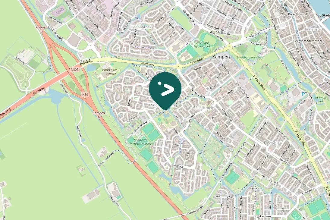 Spotted Eurasian Collared-Dove