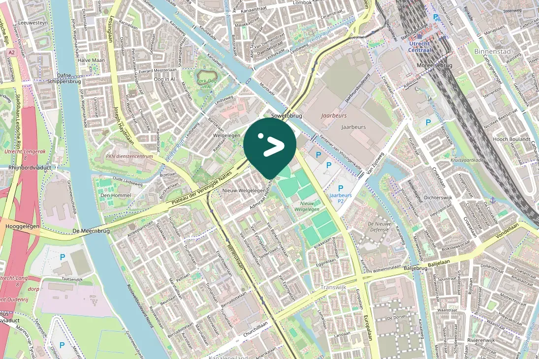 Spotted Rose-ringed Parakeet