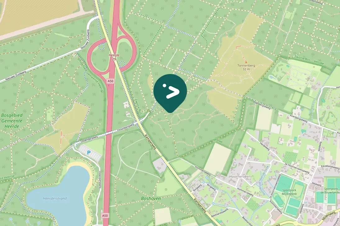 Spotted European Robin