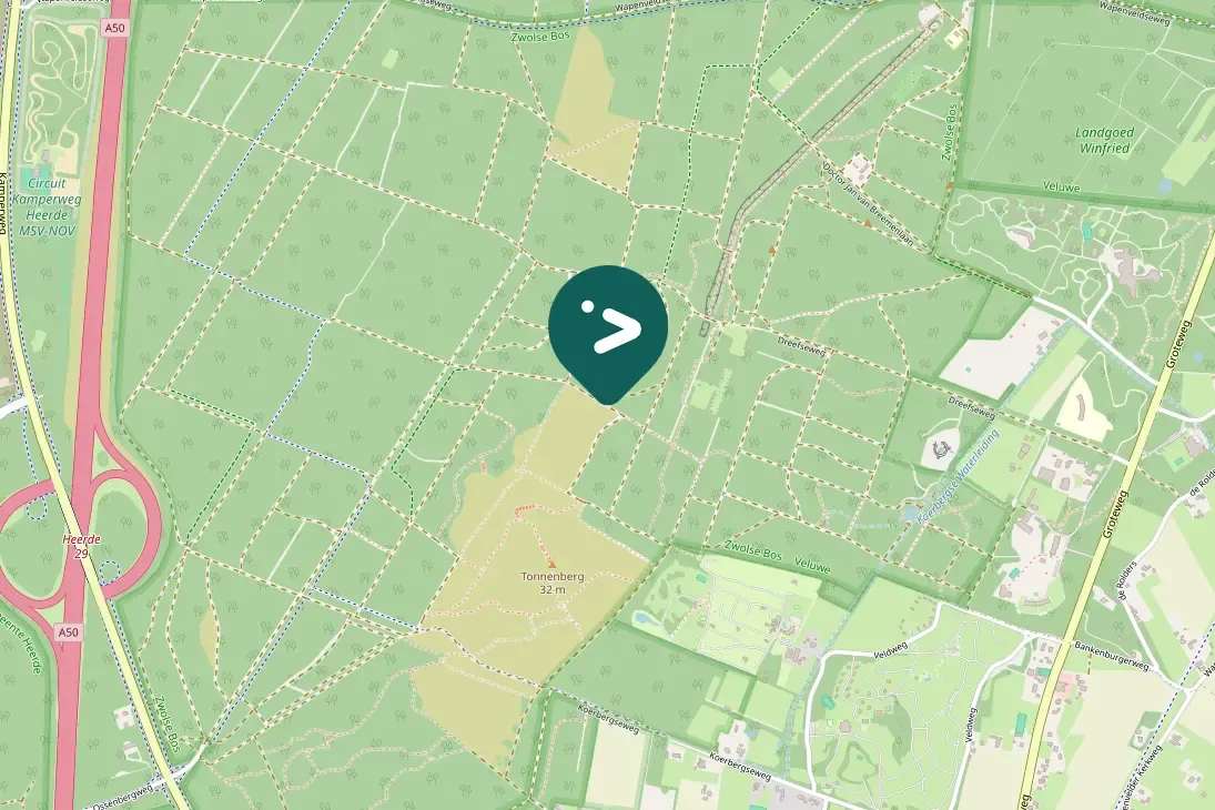 Spotted Great Spotted Woodpecker