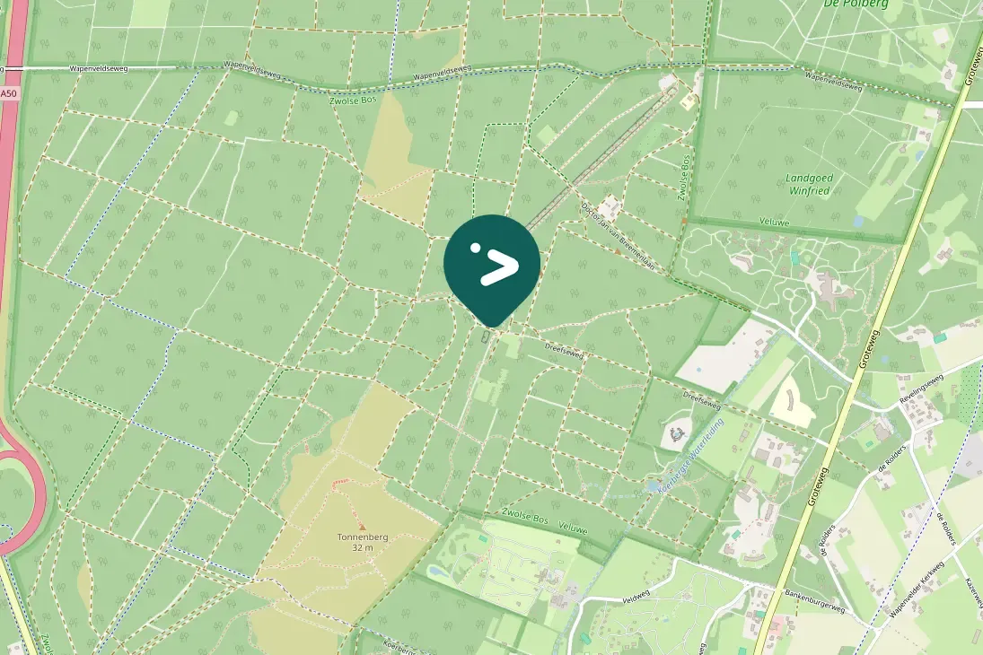 Spotted Eurasian Jay