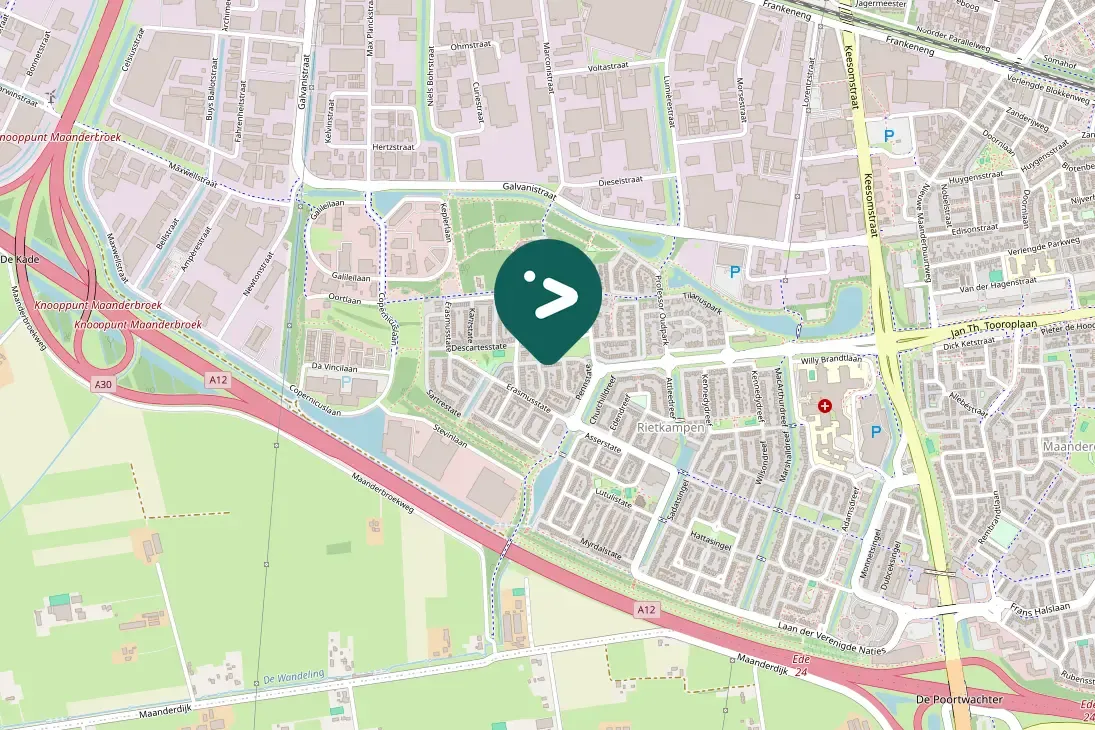 Spotted Eurasian Siskin