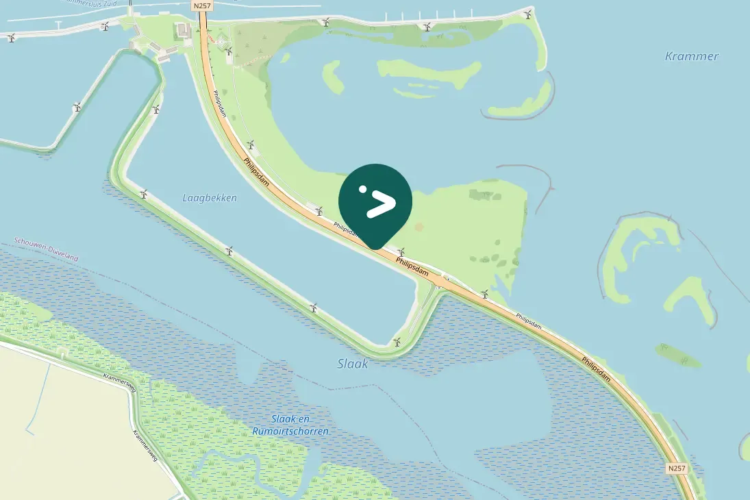 Spotted Great Black-backed Gull