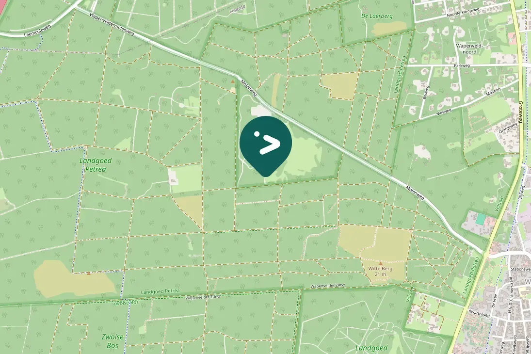 Spotted Eurasian Bullfinch