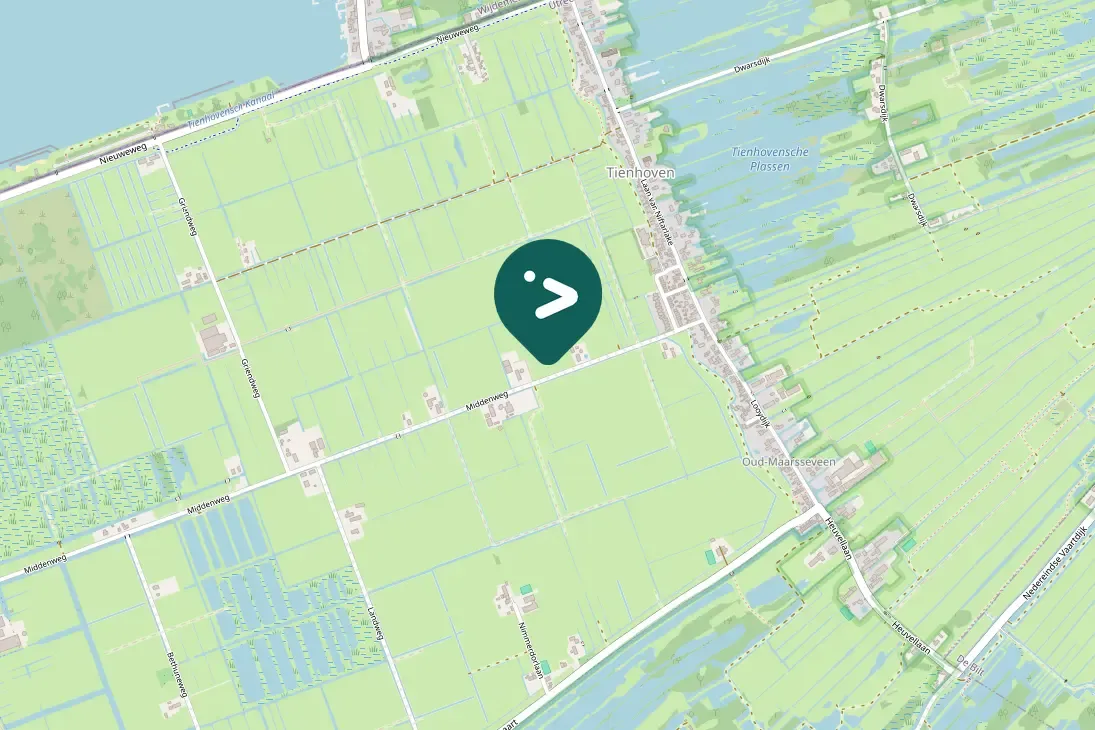 Spotted Taiga Bean-Goose