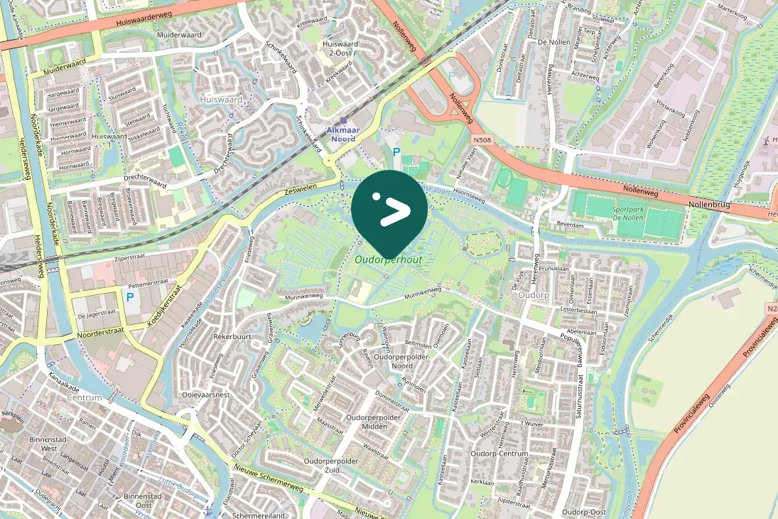 Spotted Black-tailed Godwit