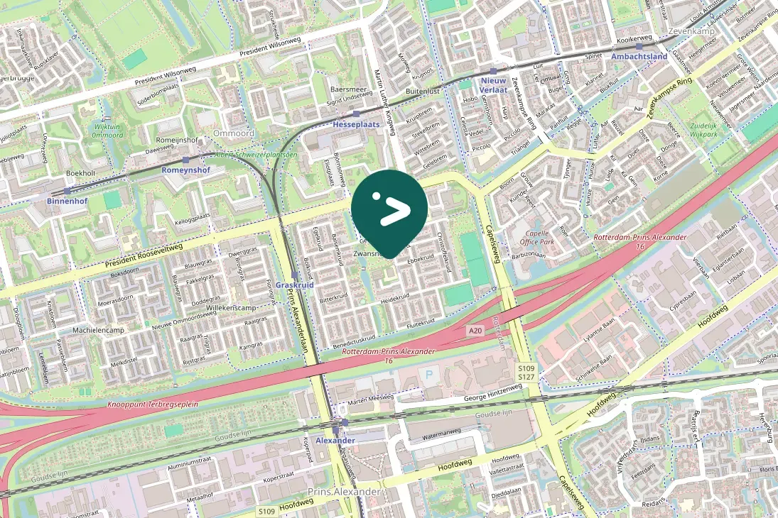 Spotted European Goldfinch