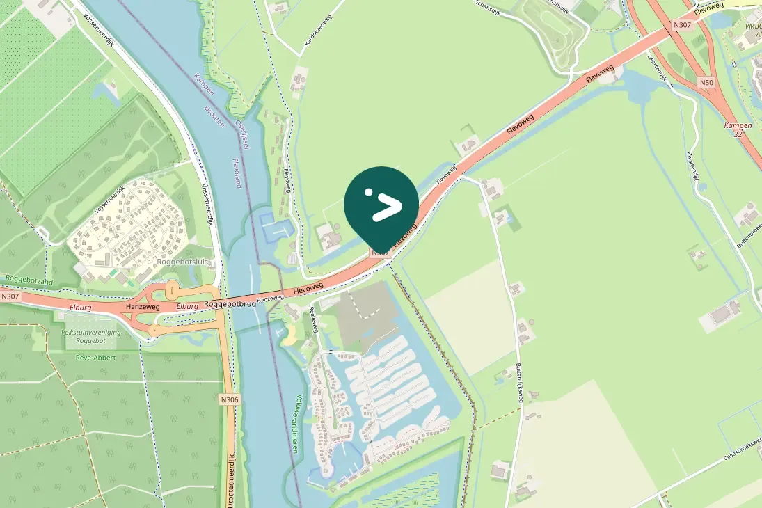 Spotted Graylag Goose