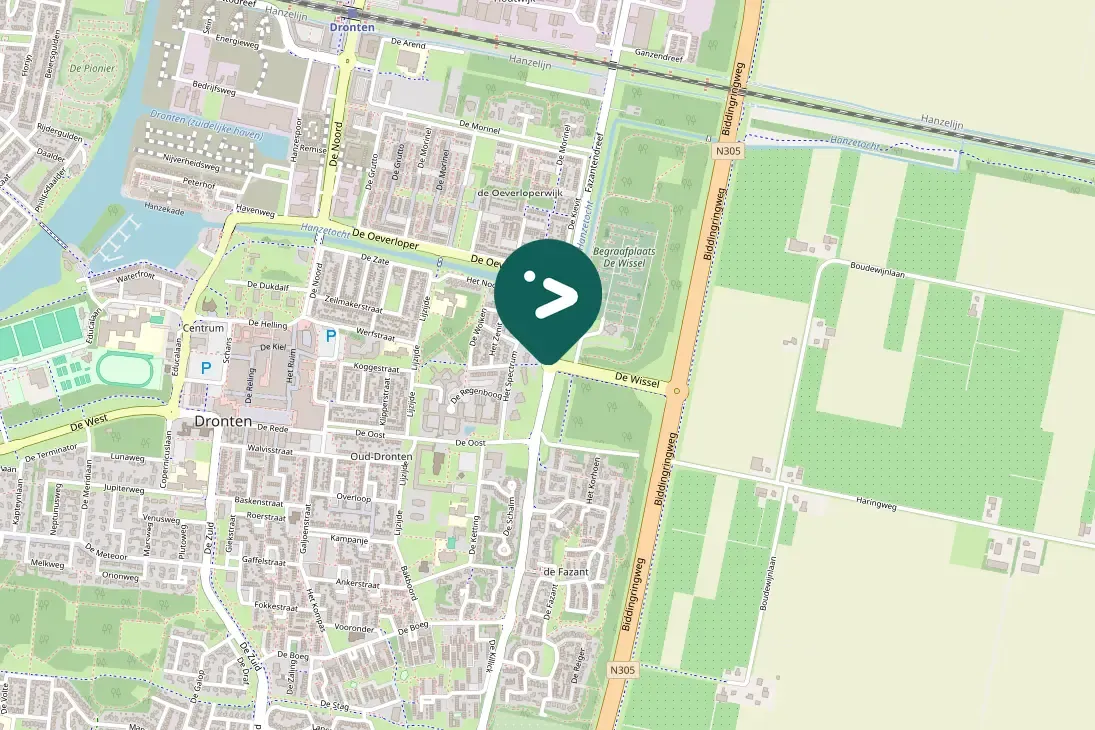 Spotted Eurasian Magpie