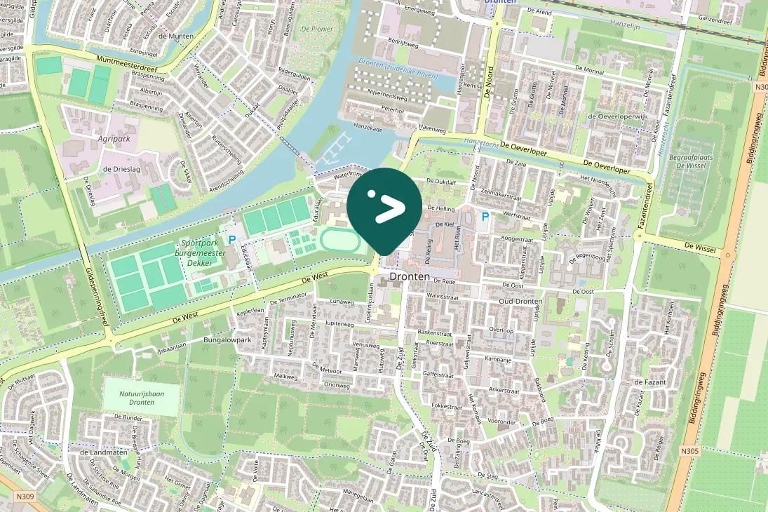 Spotted Eurasian Collared-Dove