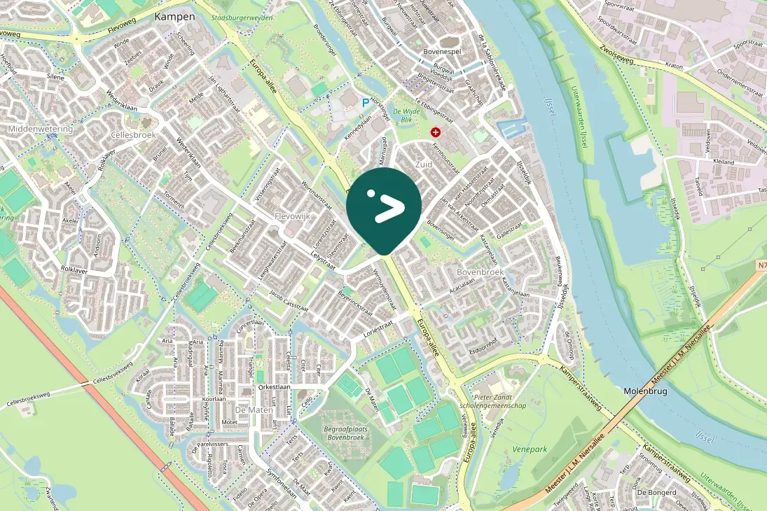 Spotted Eurasian Oystercatcher