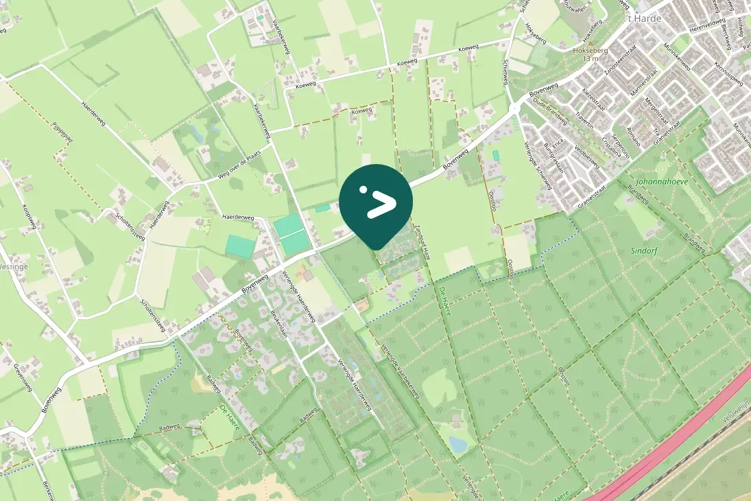 Spotted European Robin