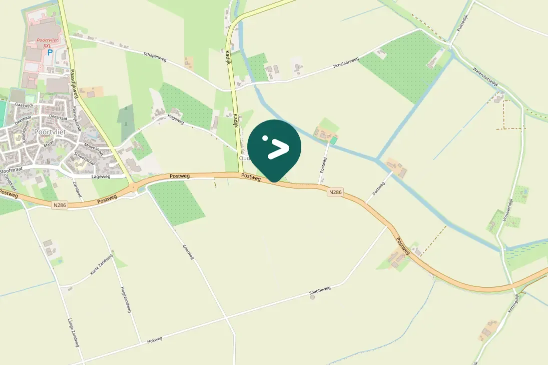 Spotted Mediterranean Gull