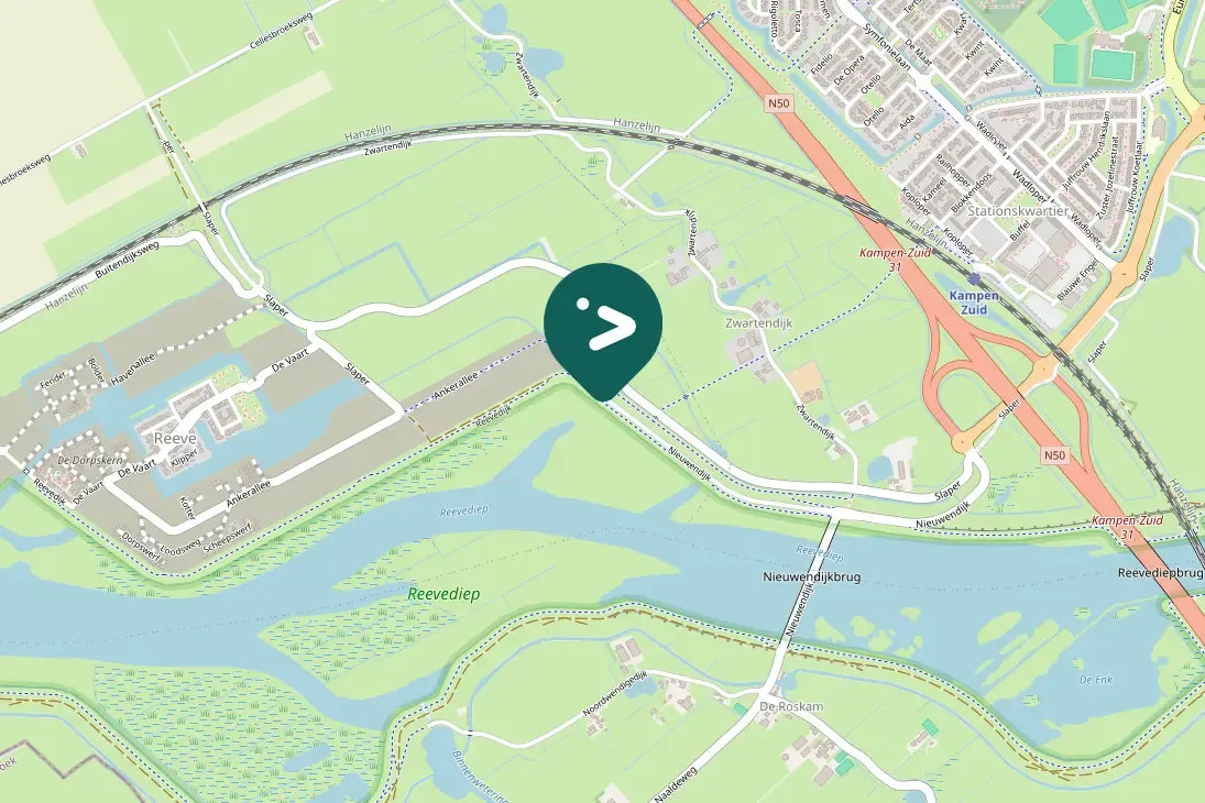 Spotted Black-headed Gull