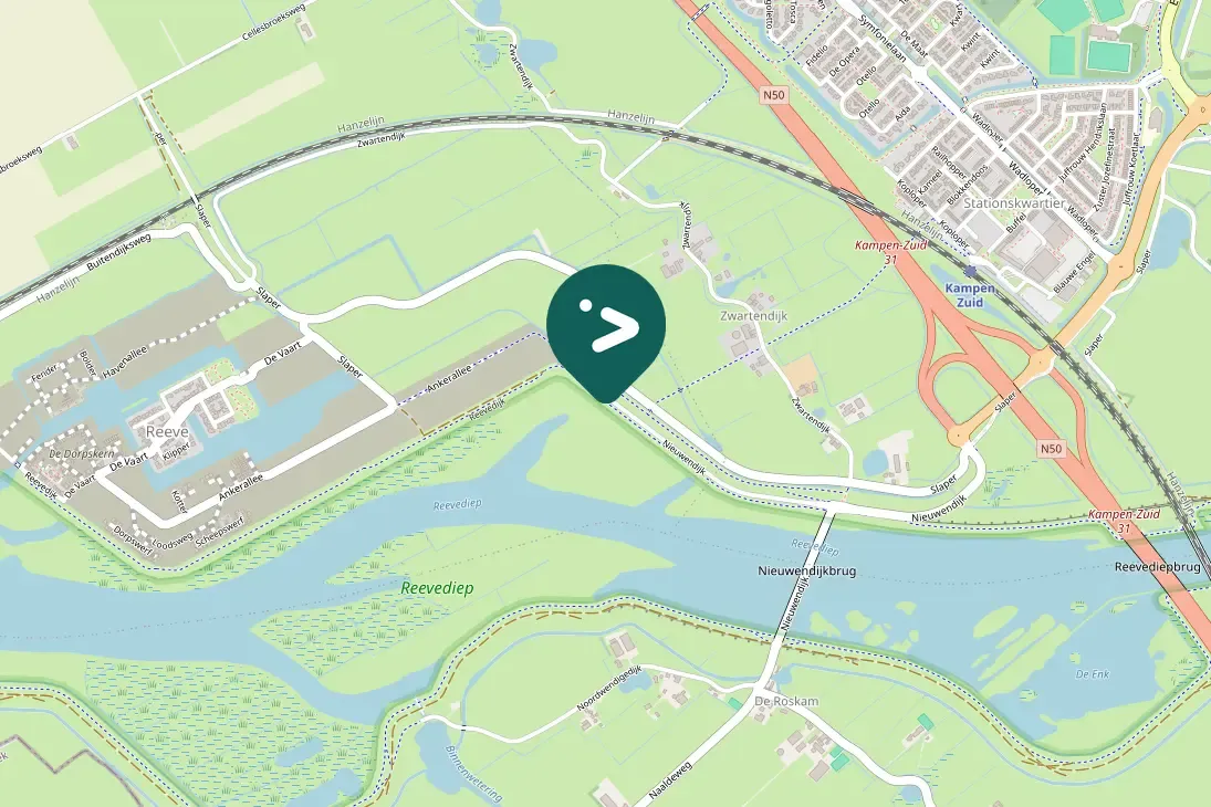 Spotted Northern Lapwing