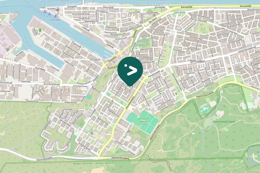 Spotted Common Cuckoo