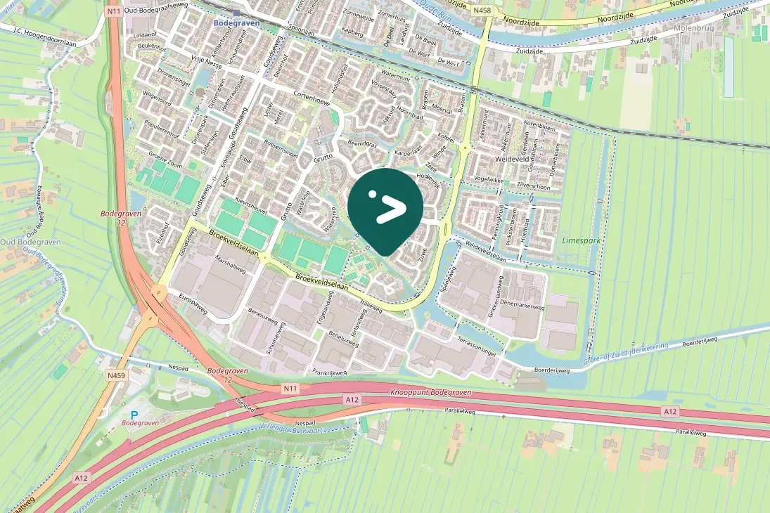 Spotted European Greenfinch