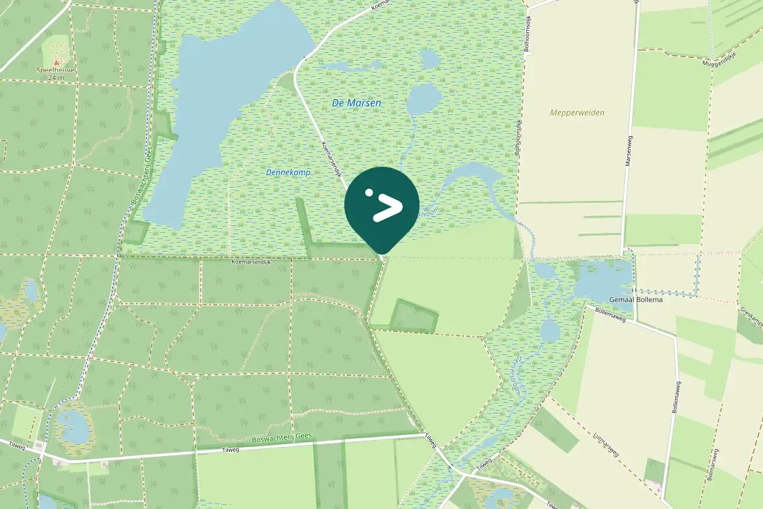 Spotted Common Chaffinch