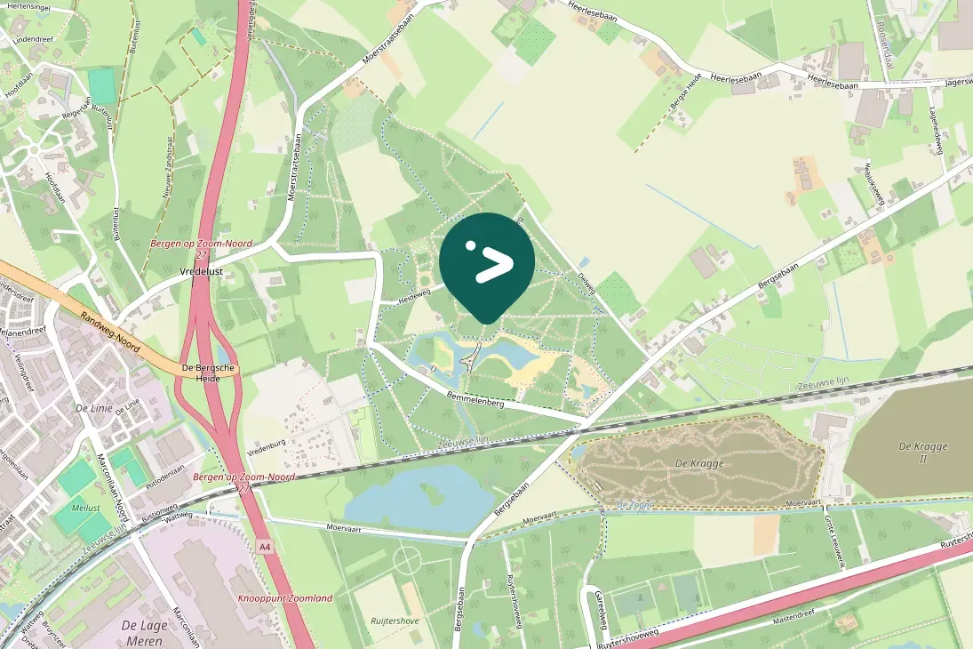 Spotted Common Chaffinch