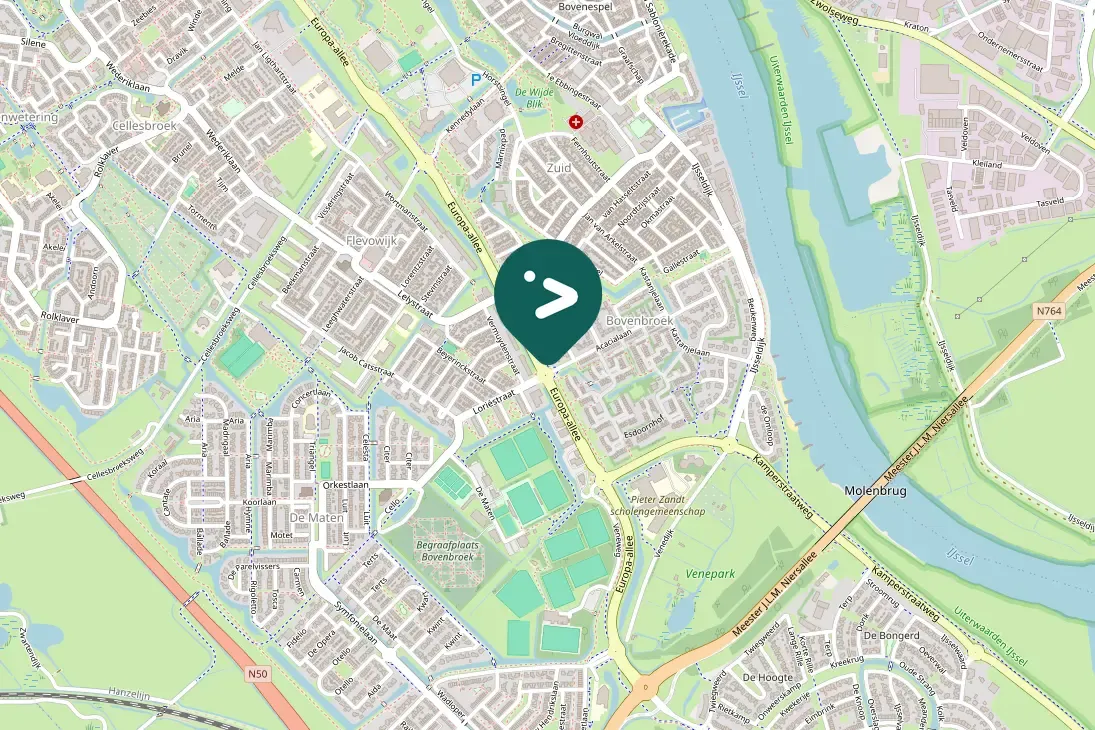 Spotted Common Chaffinch