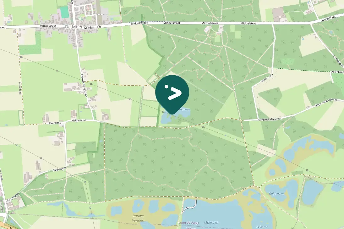 Spotted Mandarin Duck