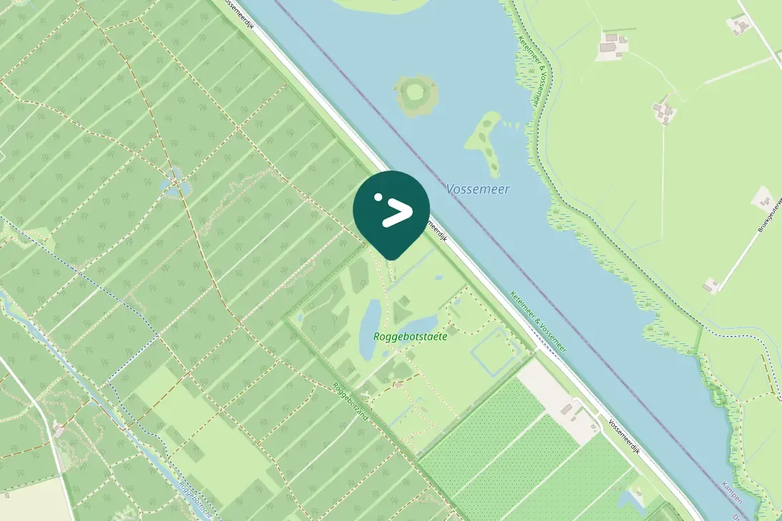 Spotted Long-tailed Tit