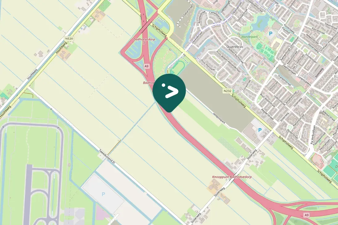 Spotted Egyptian Goose