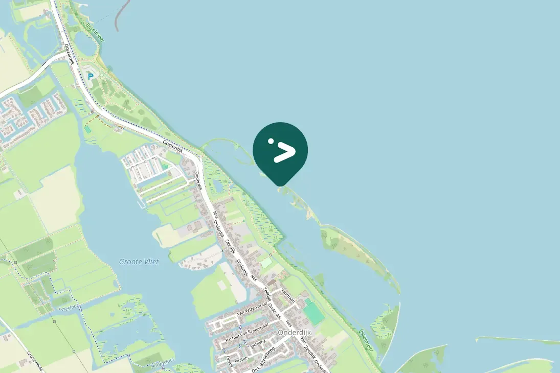 Spotted Pink-footed Goose