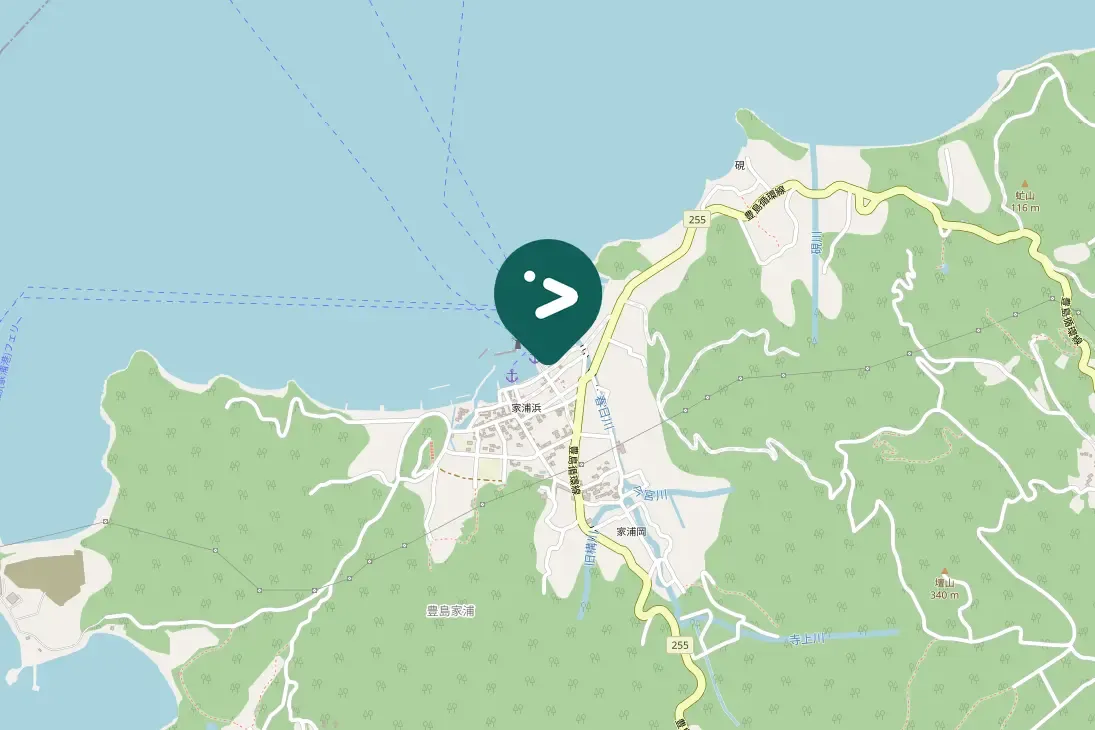 Spotted Red-crested Pochard