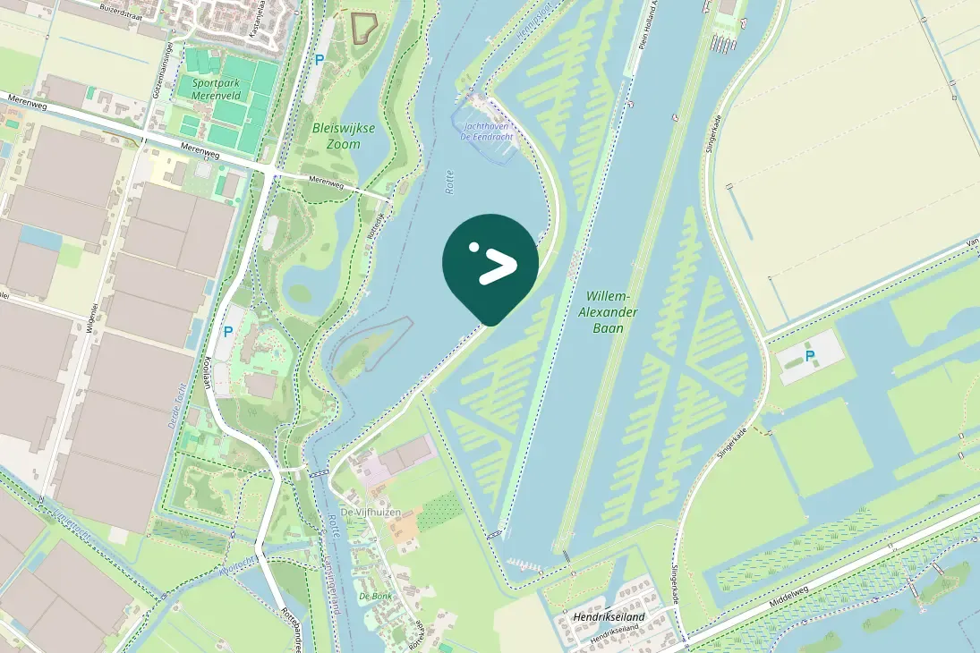 Spotted Black-headed Gull