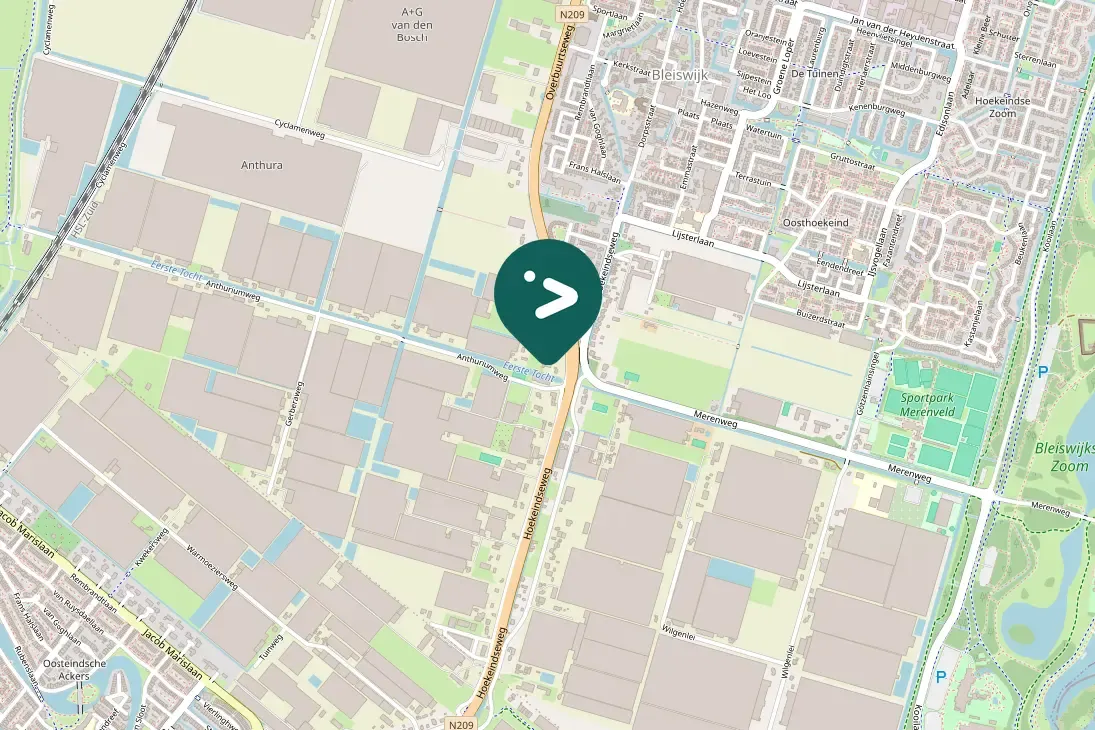 Spotted Eurasian Jackdaw