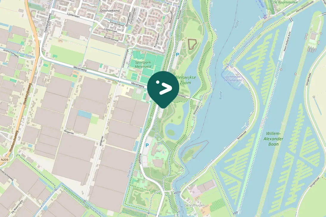 Spotted Carrion Crow