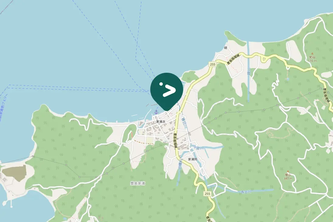 Spotted Japanese Wagtail