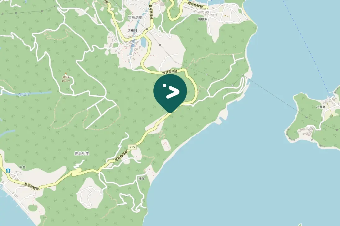 Spotted Large-billed Crow