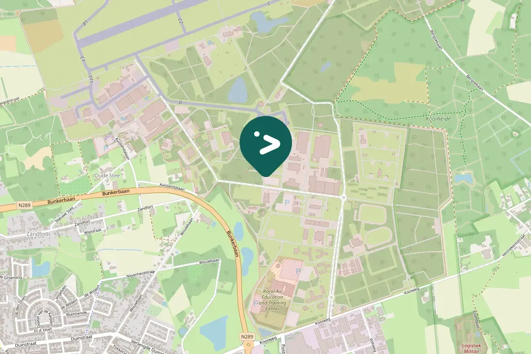 Spotted European Goldfinch