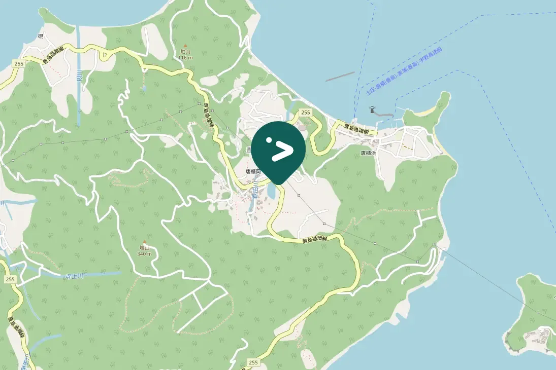 Spotted Red-crested Pochard