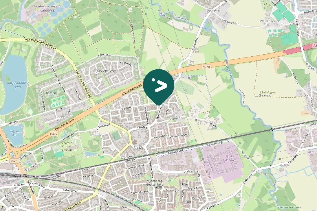 Spotted Common Chiffchaff