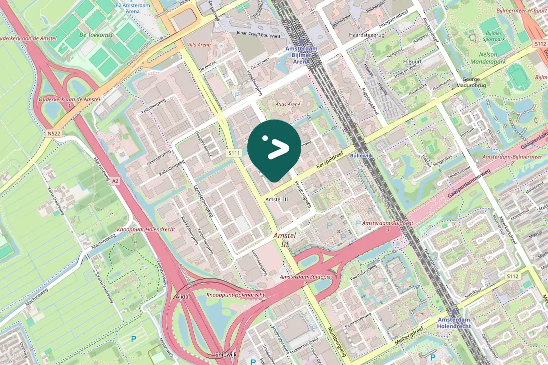 Spotted European Herring Gull