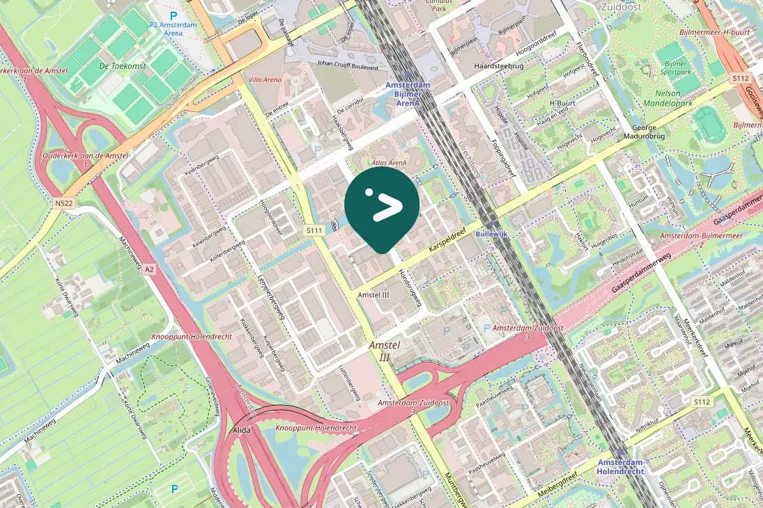 Spotted Canada Goose