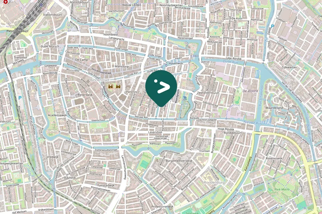 Spotted Yellow-legged Gull