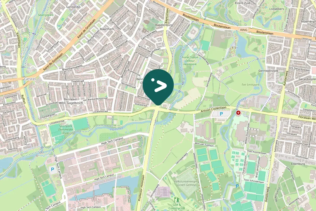 Spotted Eurasian Oystercatcher