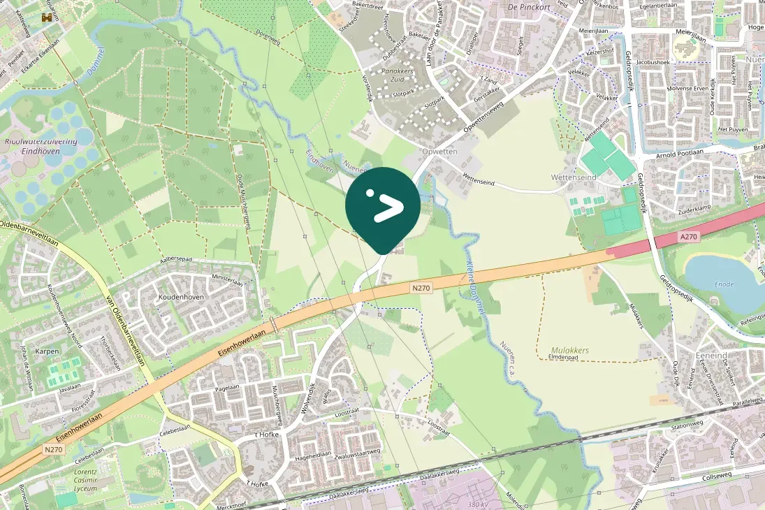 Spotted Eurasian Kestrel