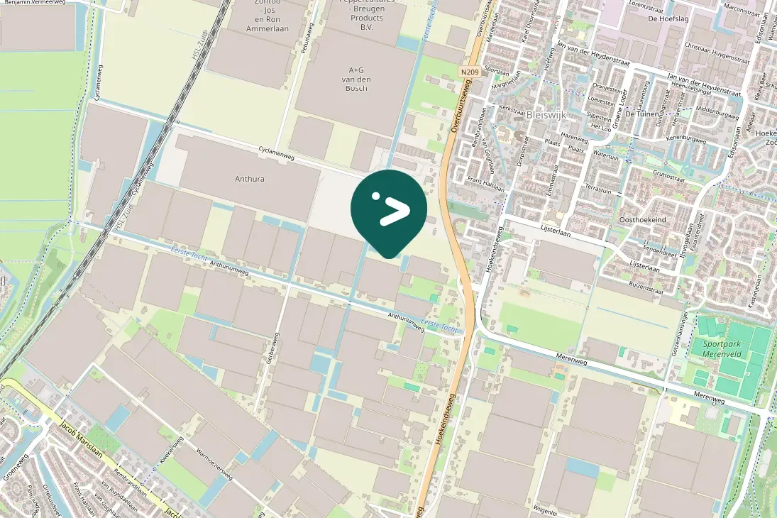 Spotted Bank Swallow