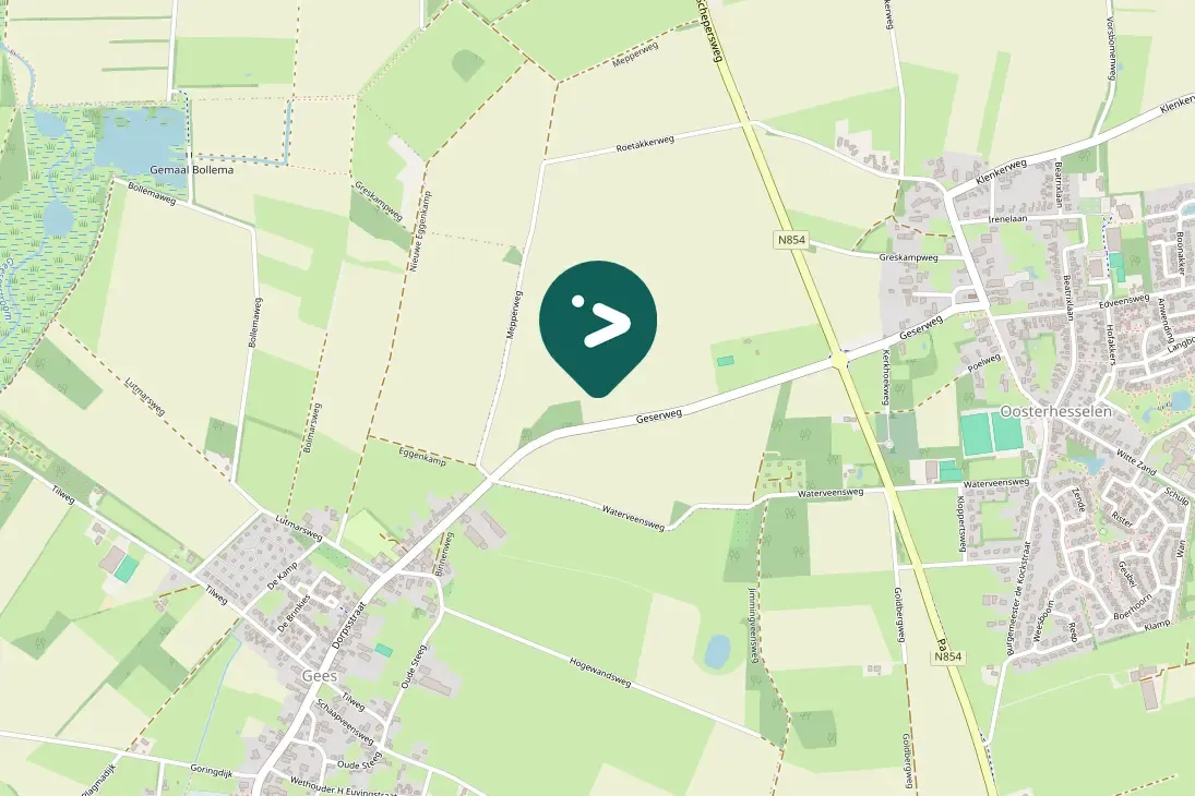 Spotted Little Bunting